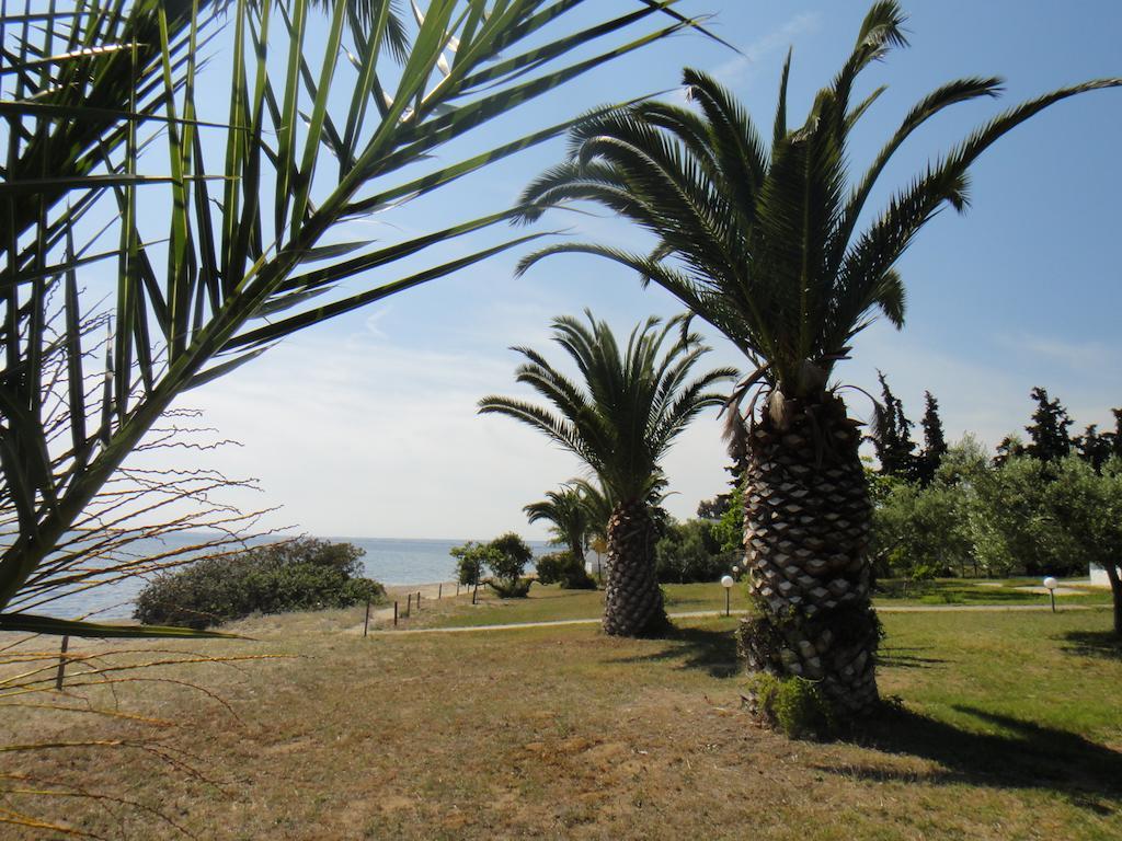 Afroditi Beach Jerakiní Kültér fotó