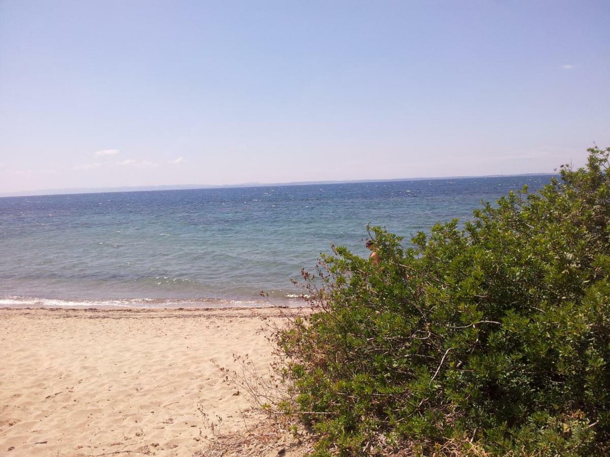 Afroditi Beach Jerakiní Kültér fotó